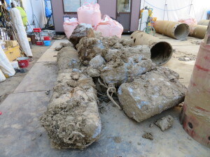 IMG_8814