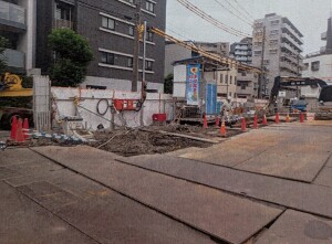 蕨1